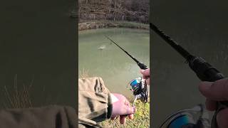 Dieser GUMMI bringt Fisch 🐟 Troutpasta V20 🎣 Naturefish Usingen 🏕 angeln ultralightfishing [upl. by Otcefrep]