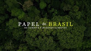 O papel do Brasil no combate às mudanças climáticas [upl. by Nabe]