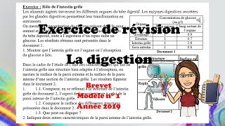 Exercice de révision digestion 4 brevet [upl. by Eeneg]