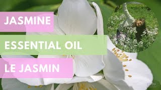 Jasmine Essential Oil  La Reine des Fleurs le jasmin [upl. by Auop834]