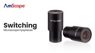 AmScope  Changing Eyepieces on M Series Microscopes M100 M150 M200 M220 M400 M500 M600 [upl. by Yahiya]