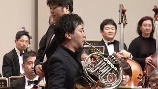 Reinhold Glière Horn Concerto op91 ⅠAllegro [upl. by Latisha]