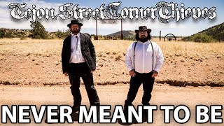 Tejon Street Corner Thieves  Never Meant To Be Music Video [upl. by Kelula125]