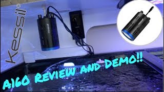 Kessil A160WE Tuna Blue Review [upl. by Holub]