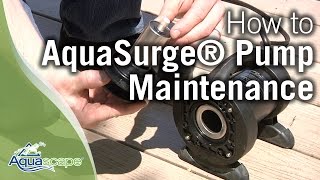 Aquascapes AquaSurge® Pump Maintenance amp Troubleshooting Tips [upl. by Yral]