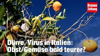 Dürre Virus in Italien ObstGemüse bald teurer  kronetv NEWS [upl. by Electra]