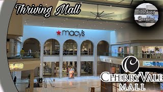 Cherryvale Mall  Rockford Illinois [upl. by Tedric]