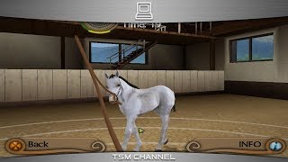 My Riding Stables  Life With Horses part 6 Horse Game [upl. by Schmidt857]