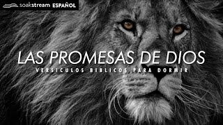 Las Promesas de Dios  Versiculos Biblicos Para Dormir [upl. by Nalrah647]