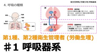 【♯1 呼吸器系労働生理】2024年版 衛生管理者 衛生管理者試験をわかりやすく解説 聞き流し [upl. by Claudio]