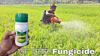 Bayer Buonos  Synthetic Fungicide  Tebuconazole 389 Sc  Praveen Thakur [upl. by Sikras558]