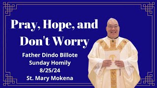 Fr Dindo Billote Pray Hope and Dont Worry [upl. by Robertson924]