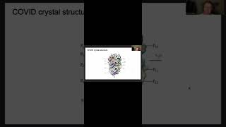 Protease inhibition and the COVID19 receptor [upl. by Penney]