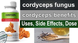 Cordyceps  cordyceps fungus  cordyceps benefits cordyceps uses in hindi [upl. by Vudimir]