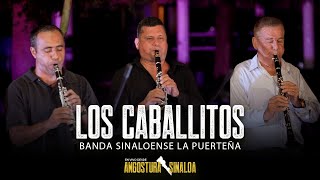 Los Caballitos En Vivo  Banda Sinaloense La Puerteña [upl. by Duwe919]