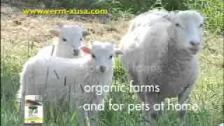 Safe Herbal Intestianl Parasite Wormer for all of your animals [upl. by Agathy]