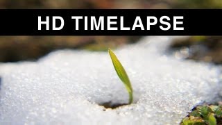 Time lapse of Snow melting HD [upl. by Ellirpa63]