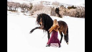 Dancing with the Most Beautiful Warlander Stallion [upl. by Aliuqa]