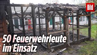 Vom Aussterben bedrohte Tiere verbrennen bei Feuer in Hühnerstall  Domäne Dahlem [upl. by Heman]