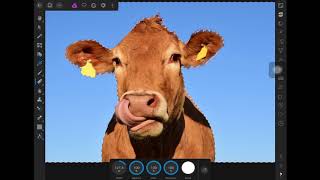 Como remover fondo con la varita mágica en Affinity Photo pc mac amp ipad [upl. by Nanreik850]
