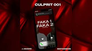 Faka 1 Faka 2 feat Mathandos amp Nvcho [upl. by Dnalsor]