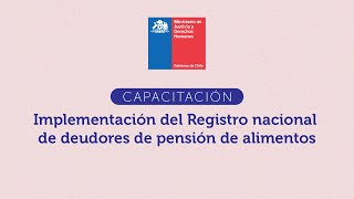 CAPACITACIÓN MUNICIPIOS respecto del Registro Nacional de Deudores de Pensiones de Alimentos [upl. by Relyk970]