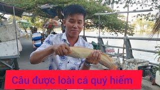 Câu cá sông bắt được loài cá quý hiếm giá vài triệu đồng Hội Câu Cá nước Mặn lý thiên TV [upl. by Atirehgram]