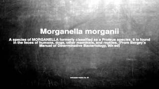 Medical vocabulary What does Morganella morganii mean [upl. by Yenahteb843]