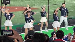 【台湾チアガール⑤】岳政華 応援歌 アジアプロ野球チャンピオンシップ 20231117 [upl. by Berri]