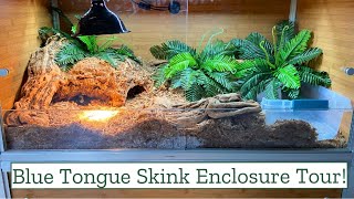 Blue Tongue Skink Enclosure Tour  Zen Habitats Review [upl. by Keemahs]