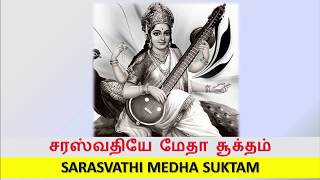 சரஸ்வதி மேத ஸூக்தம் SARASWATHY MEDHA SUKTAM WITH LYRICS  PRAANO DEVI SARASVATHY [upl. by Gotcher148]