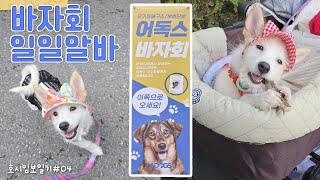 호시임보일기 4 ㅣ유기견 바자회에서 모자 모델은 바로 나 유기견도 이렇게 예뻐요ㅣ1인가구 임시보호 유기견임보 유기견 유기견임시보호 강아지 vlog [upl. by Bert]