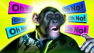 Monkey saying Oh No Meme from Planet of The Apes [upl. by Piper32]