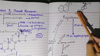 Synthesis of steroid hormone part 2 [upl. by Aihcrop367]