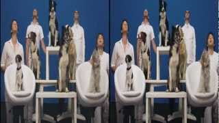 OK Go  White Knuckles  Official 3D Video [upl. by Crawford]