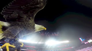 Challenger Soars at Philly Eagles Military Appreciation Game 2014 [upl. by Nylrad372]