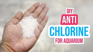 🐠💦 DIY Anti Chlorine for Aquarium How to Remove Chlorine from Tap Water at Home 🫧 [upl. by Arenahs]