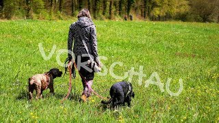 Ordnung an der Leine mit zwei Hunden Vorschau [upl. by Akino]