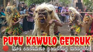 rampak buto putu Kawulo gedruk ft turonggo krido budoyo live sudimoro gondang mungkiid [upl. by Reiter]