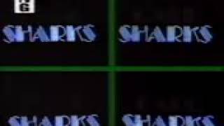 Card Sharks 12311979 GSN Version Pt 1 [upl. by Gabe]