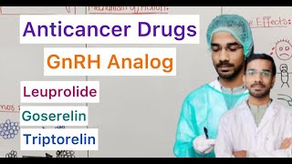 Anticancer Drugs  GnRH Analog  Leuprolide  Goserelin  Triptorelin [upl. by Blasien]