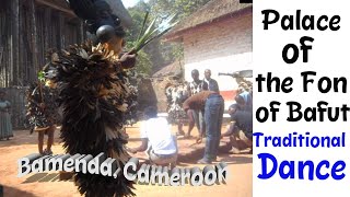 Traditional Dance at the Palace of the Fon of Bafut Bamenda Cameroon My quotRootsquot Journey [upl. by Ibocaj471]