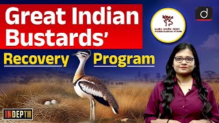 Great Indian Bustards Recovery Program  lesser Florican Indepth  Drishti IAS English [upl. by Kovacev]