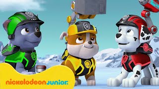 PAW Patrol  La Pat Patrouille  Les meilleures missions avec Sweetie   Nickelodeon Jr France [upl. by Ecydnac]