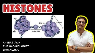 HISTONE PROTEIN IN HINDI BSc MSc CSIRNET HISTONE PROTEIN IN HINDI BSc MSc CSIRNET VIRAL DBT [upl. by Ytomit34]