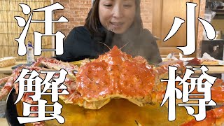 【北海道・小樽市】三角市場「恵比寿桜」で活きた巨大タラバ蟹を食べる！豪華海鮮丼、響21年も飲んでハッピーすぎる最高の一日！観光はもちろん北海道民にも食べて欲しい絶品活蟹💖【飯テロ注意報発令です！】 [upl. by Egag]