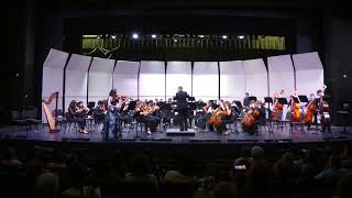 Romanze for Viola and Orchestra Milton HS Chamber Orchestra [upl. by Rednaeel]