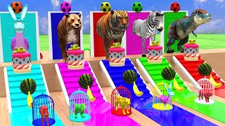 Animal cage game with dinosaur tiger donkey zebra saber tooth cat transfiguration funny 3d animals [upl. by Gitt]