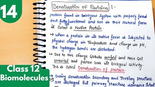 14 Denaturation of protein Enzymes Mechanism of Enzyme action Biomolecules Class12 chemistry [upl. by Anemolif216]