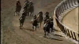 Victory Gallop  1998 Belmont Stakes [upl. by Aidyn]